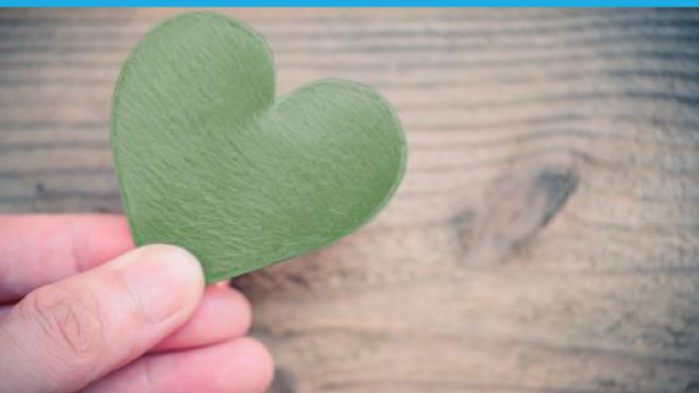 Una foglia a forma di cuore in mano a una persona