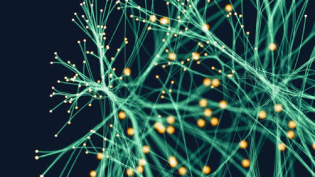 rete neurale