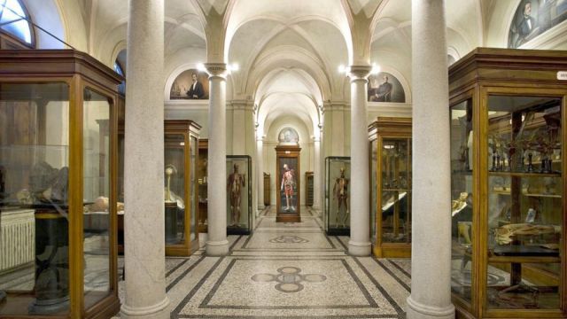 Museo di Anatomia Umana
