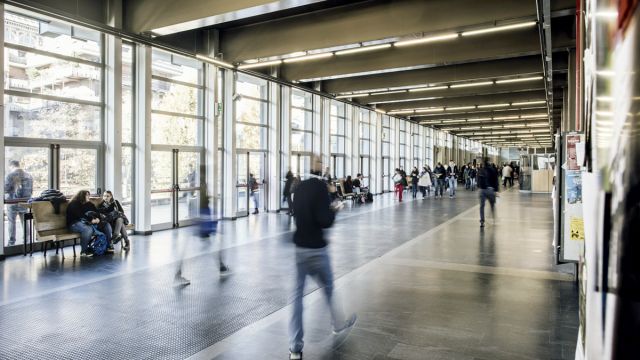Vai all'elenco delle Scuole Interno di palazzo Nuovo