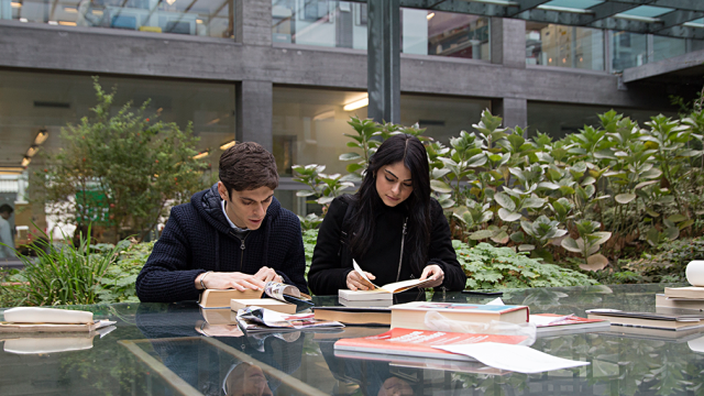 Cerca gli insegnamenti Studenti che consultano libri alla scrivania
