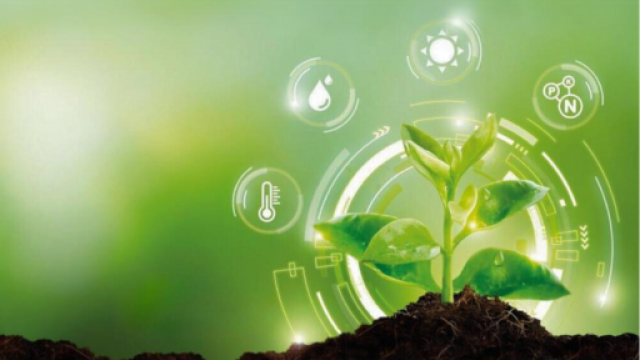 Bandi a cascata del Centro Nazionale per le tecnologie in agricoltura Agritech per enti di ricerca e imprese Piccola pianta su sfondo colorato