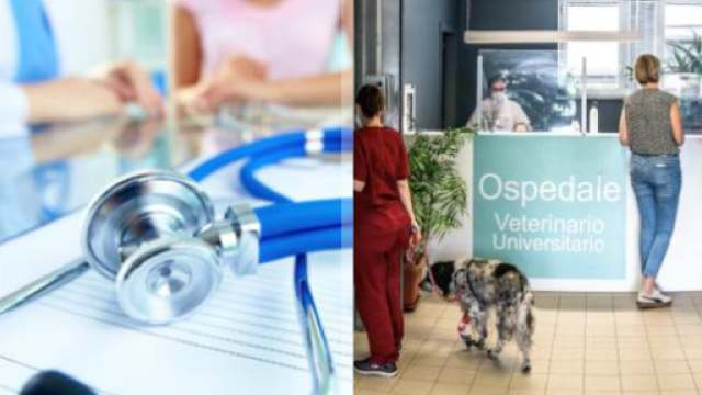 stetoscopio e reception ospedale veterinario