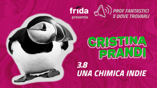 Foto di una pulcinella di mare. Frase: Cristina Prandi, una chimica indie