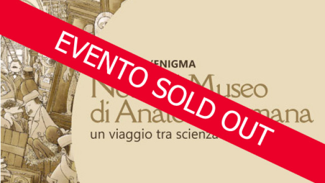 Titolo dell'avviso su sfondo colorato, scritta SOLD OUT
