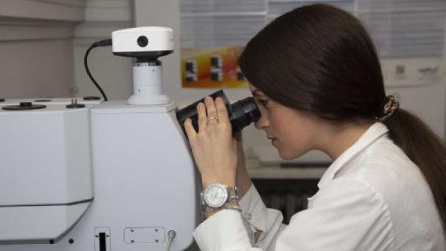Dottoranda che lavora al microscopio