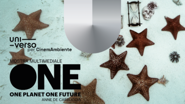 Titolo della mostra su fondale marino