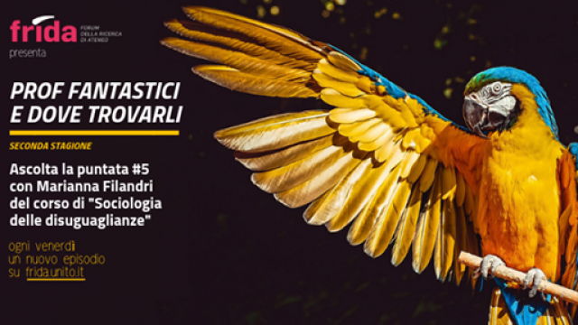 Prof Fantastici
