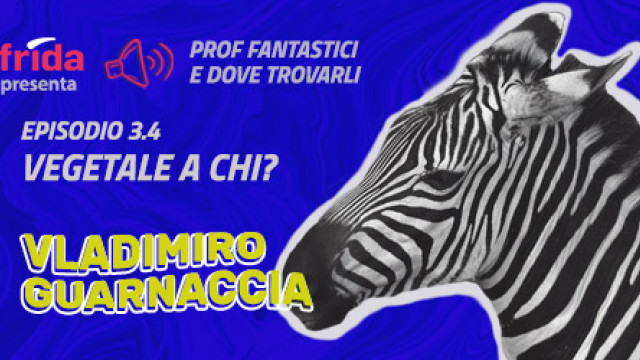 zebra su sfondo colorato e frase: episodio 3.4 vegetale a chi? Vladimiro Guarnaccia