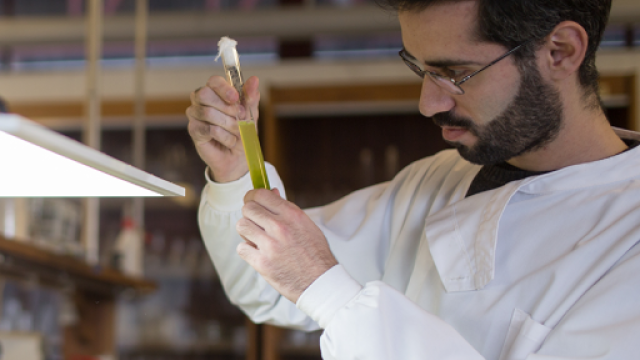 ricercatore all'interno di un laboratorio chimico, ha in mano una provetta con del liquido