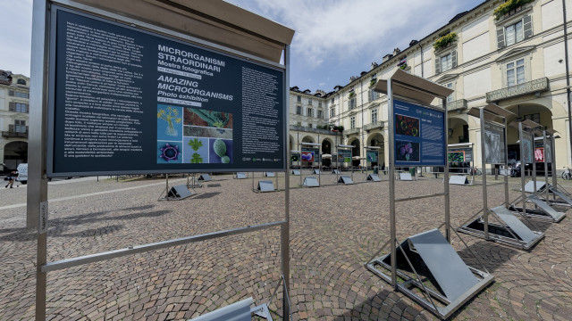 Schermata tratta dal tour virtuale della mostra Microrganismi straordinari
