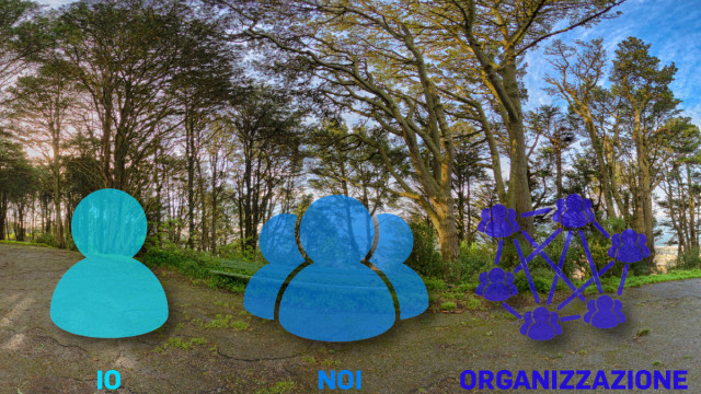 Schermata tratta dal tour virtuale del percorso formativo: alberi di un bosco