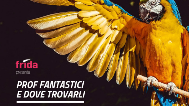 Seconda stagione Prof Fantastici - episodio 7 Grafica del format Prof Fantastici - seconda stagione