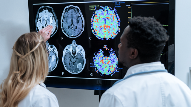 Due medici che esaminano una radiografica/TAC