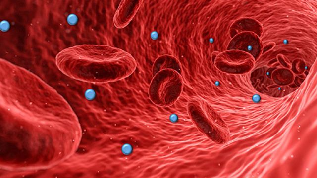 Foto settore microbiologia