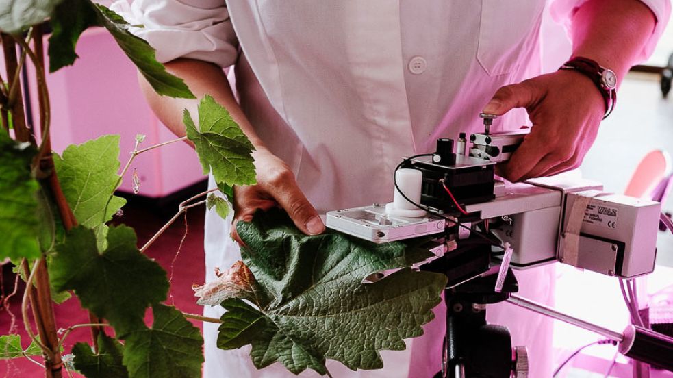Laboratorio di ricerca - Scuola di Agraria e Medicina Veterinaria