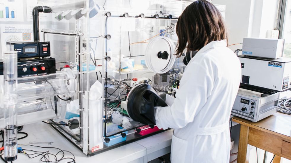 Laboratorio di ricerca - Dipartimento di Scienze della Vita e Biologia dei Sistemi