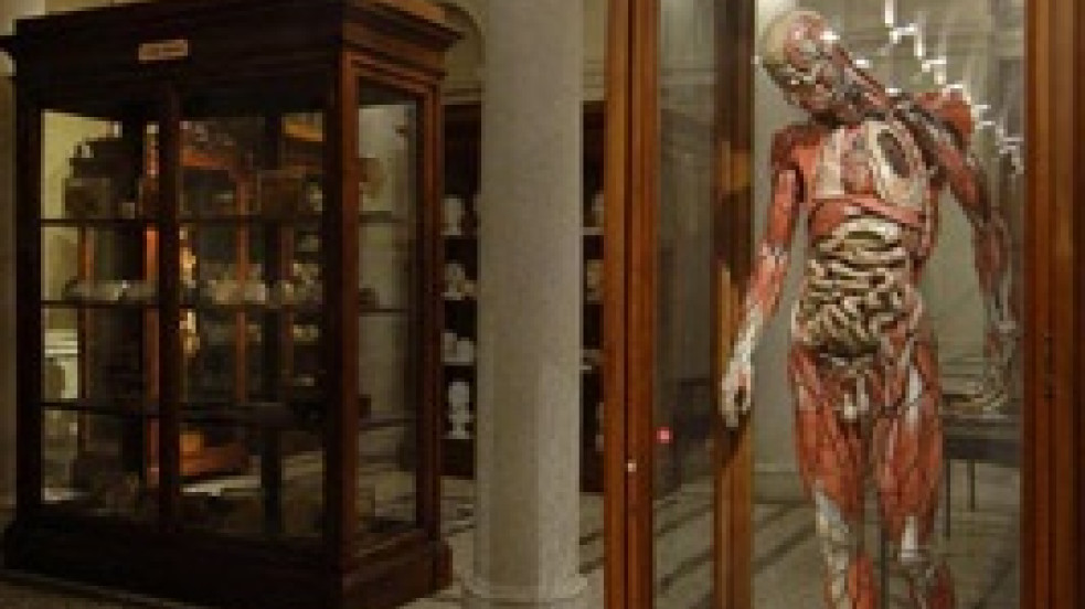 Hall of the Museum of Human Anatomy “Luigi Rolando”