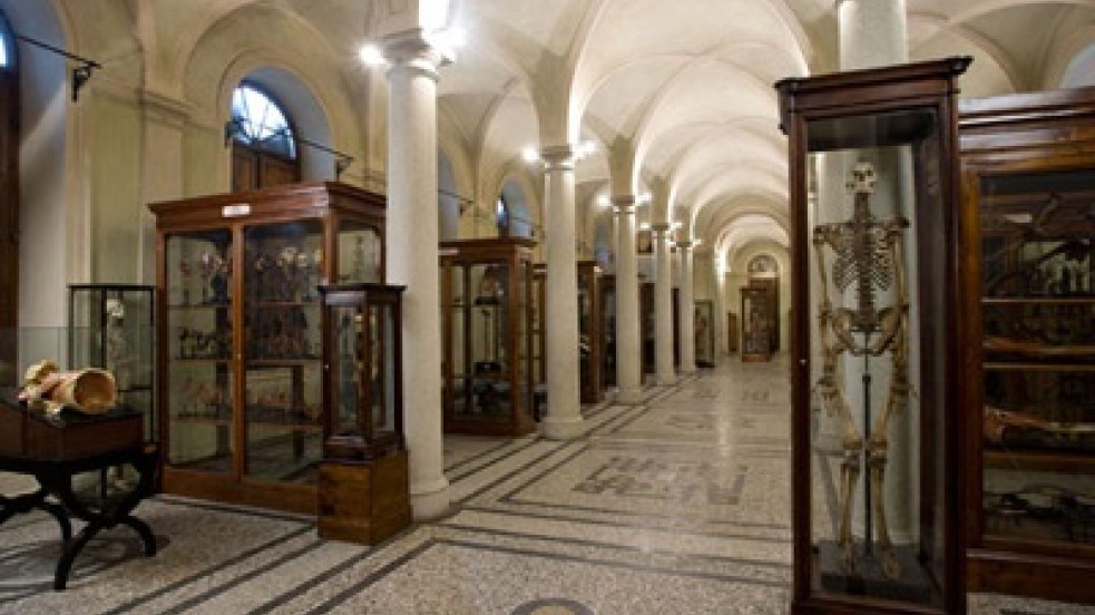 Hall of the Museum of Human Anatomy “Luigi Rolando”
