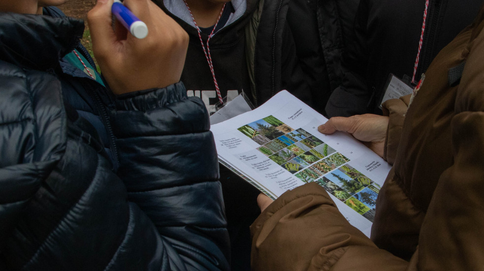 gruppo bambini con libro su alberi