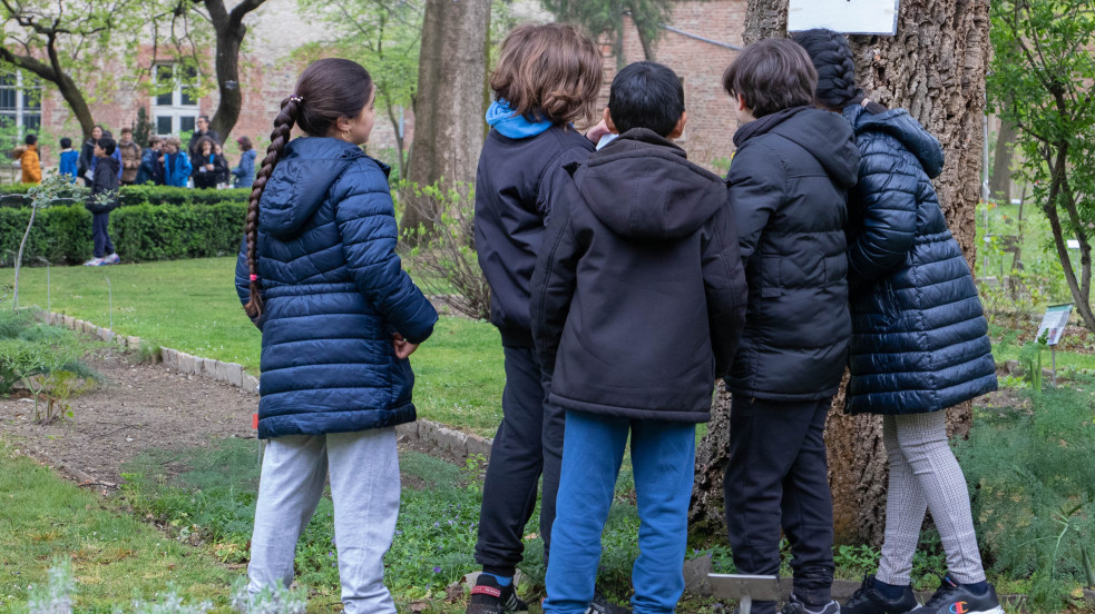 gruppo bambini intorno a un albero