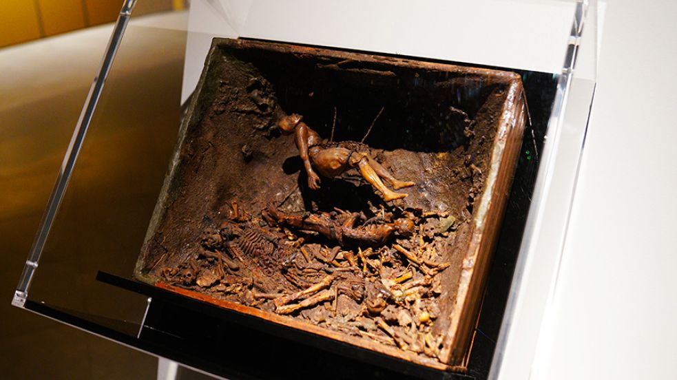 Oggetti della mostra