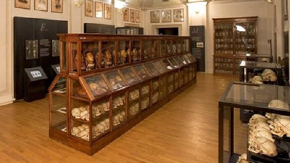 Hall of Museum of Criminal Anthropology “Cesare Lombroso”
