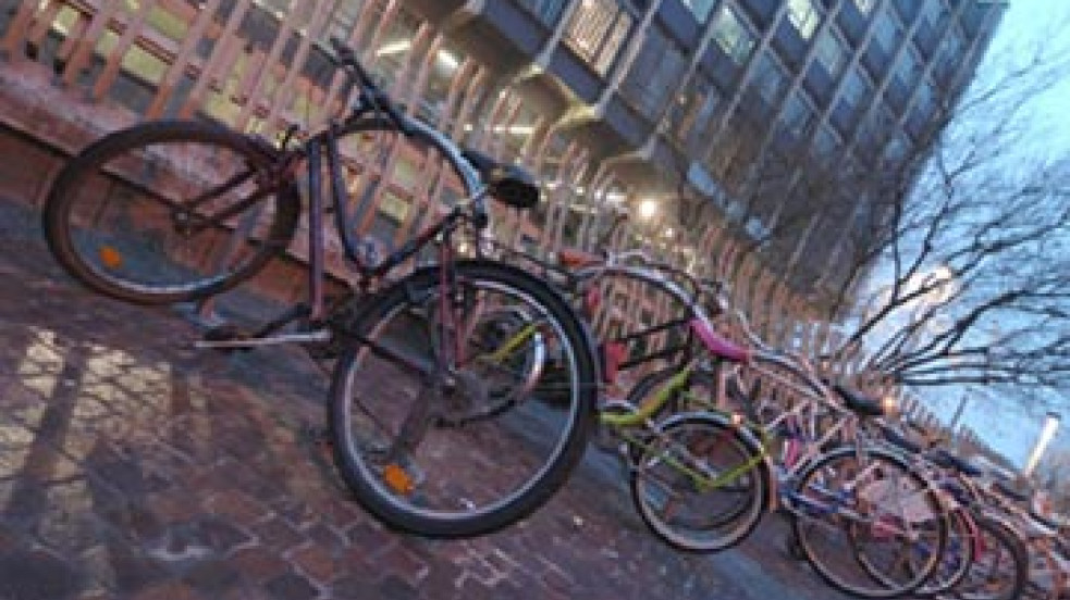 Biciclette di fronte al Palazzo Nuovo