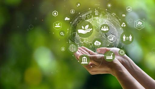 due mani che reggono un "universo digitale"