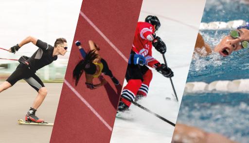 Bannerino realizzato con varie immagini di atleti: uno in azione sugli skiroll, una ragazza che corre in pista di atletica, due giocatori di hockey sulla pista di ghiaccio e una ragazza che nuota in piscina