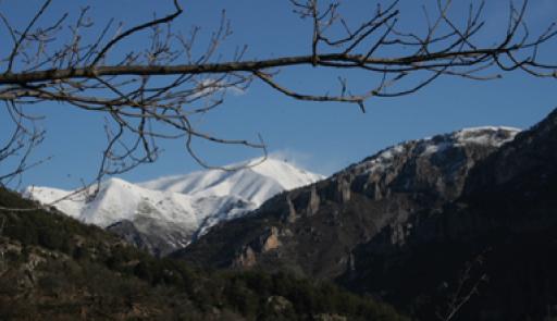 effetti_cambiamenti_climatici.jpg
