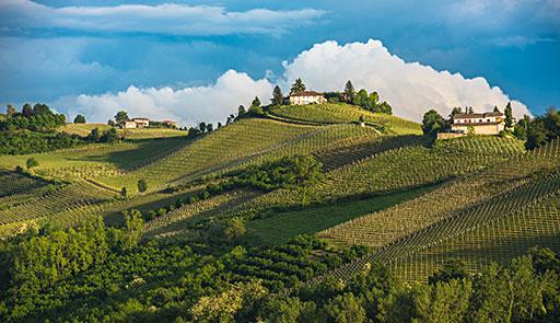 Veduta di una collina del Monferrato
