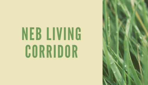 Grafica su sfondo beige e verde con scritta NEB Living Corridor
