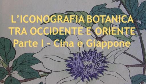 grafica con sfondo di piante illustrate dal colore verde e viola