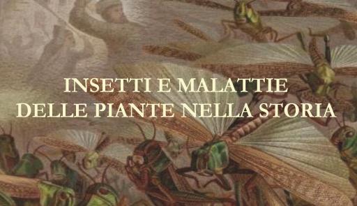 titolo della conferenza su disegno rappresentante degli insetti
