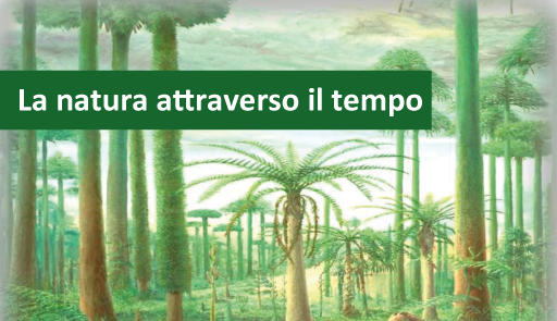 La natura attraversa il tempo