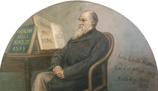 Ritratto di Darwin seduto accanto ad un tavolo