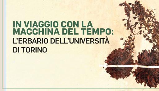 titolo dell'evento su fondo colorato con immagine di foglie