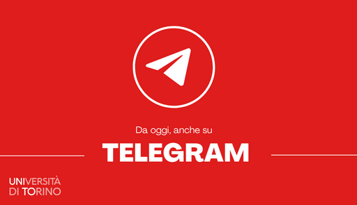 logo telegram, areoplanino di carta, su sfondo colorato 