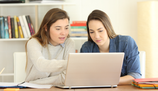Due persone femminili che guardano e consultano un pc