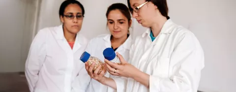 Tre ricercatrici osservano dei farmaci
