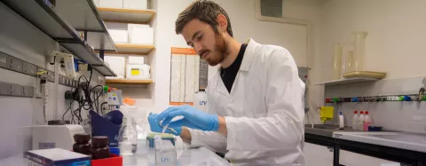 Un ricercatore utilizza delle provette in laboratorio