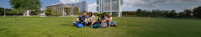Studenti universitari che studiano all'aperto