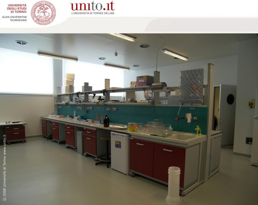 Biotecnologie - Laboratori interni