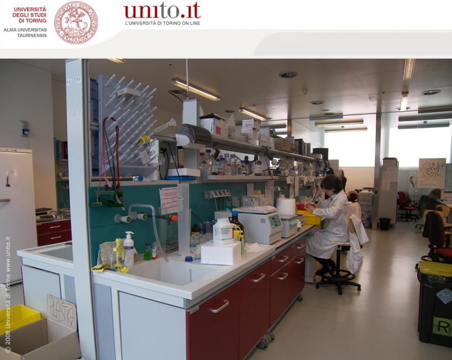 Biotecnologie - Laboratori interni 2