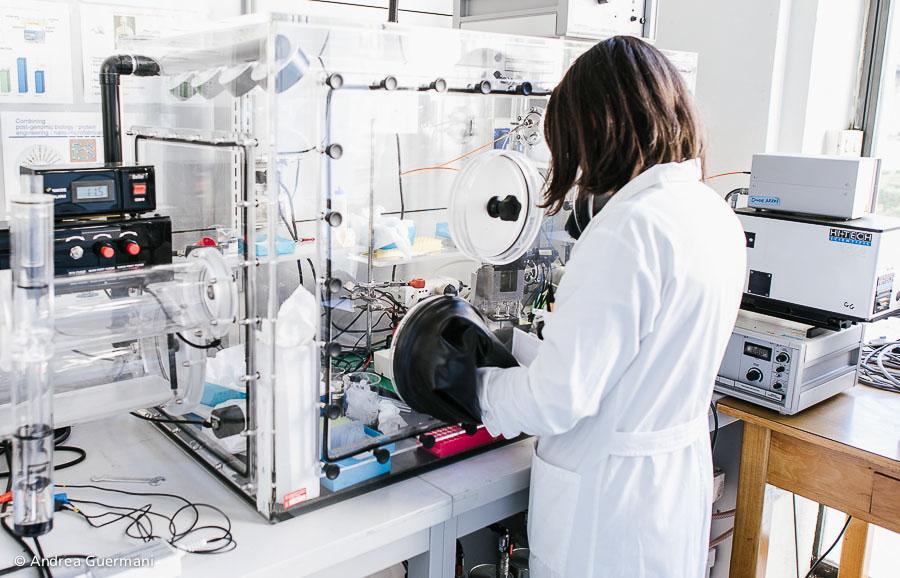 Laboratorio di ricerca - Dipartimento di Scienze della Vita e Biologia dei Sistemi