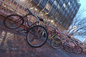 Biciclette di fronte al Palazzo Nuovo