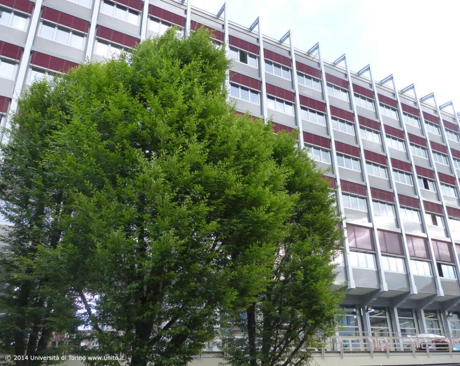 Palazzo Nuovo ecocompatibile - maggio 2014