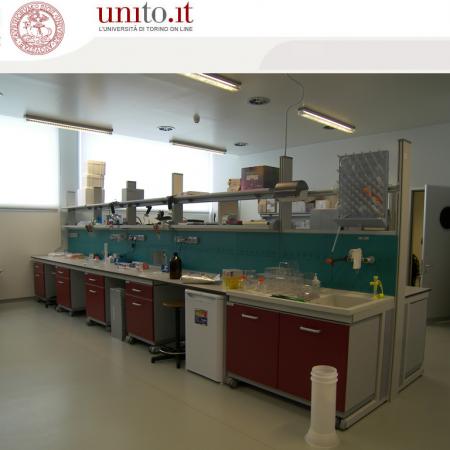 Biotecnologie - Laboratori interni