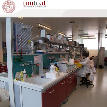 Biotecnologie - Laboratori interni 2